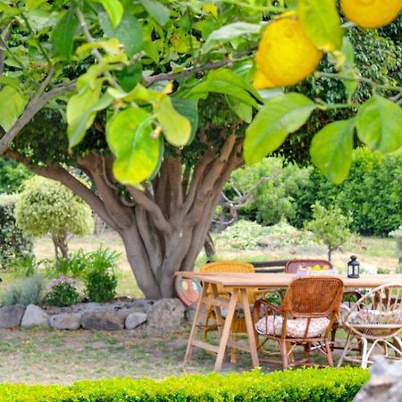La Casa Di Lina - Capo D'Orlando, Casa Con Ampio Giardino别墅 外观 照片