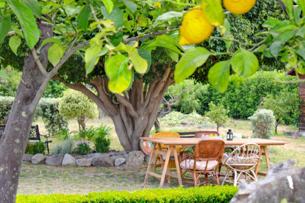 La Casa Di Lina - Capo D'Orlando, Casa Con Ampio Giardino别墅 外观 照片