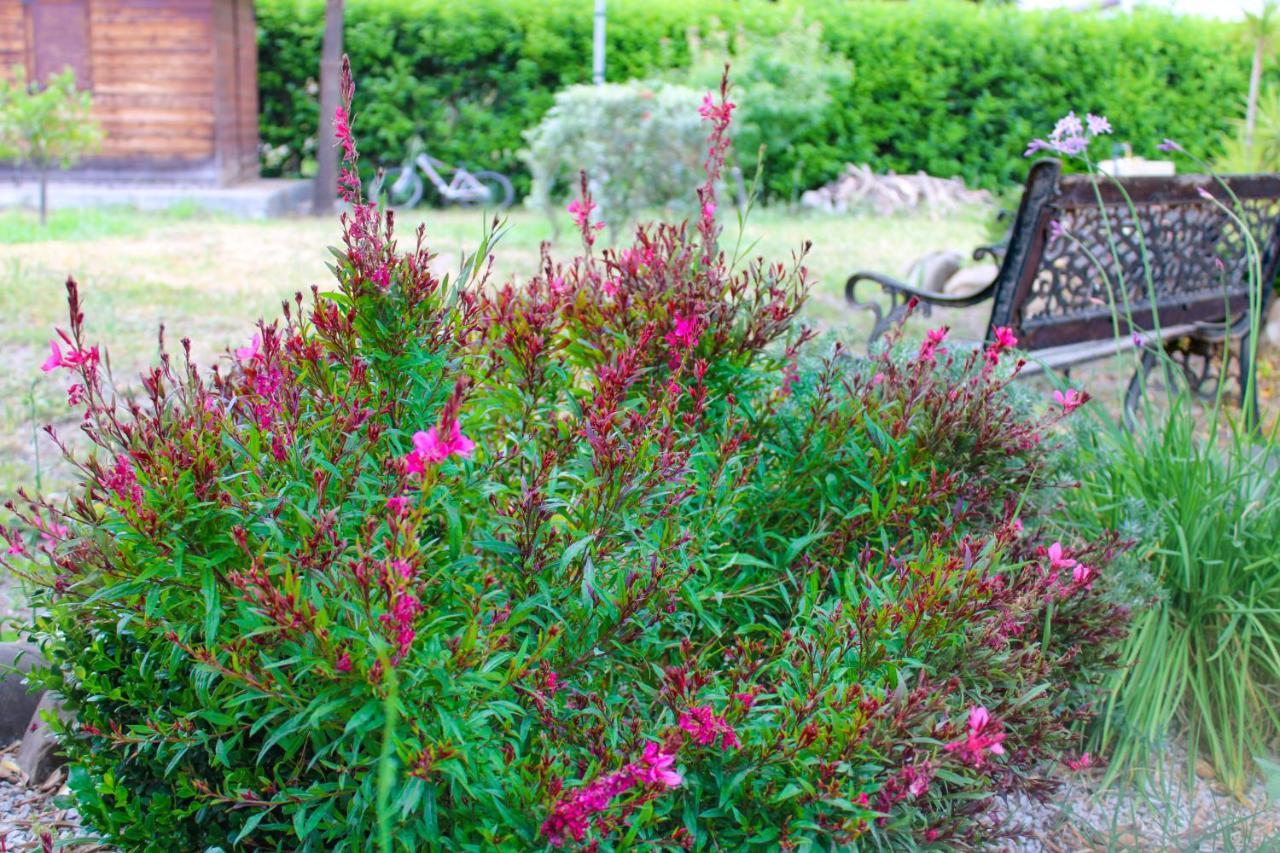 La Casa Di Lina - Capo D'Orlando, Casa Con Ampio Giardino别墅 外观 照片