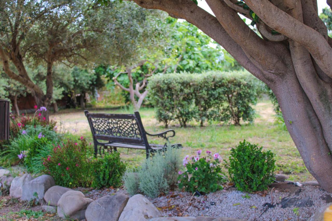 La Casa Di Lina - Capo D'Orlando, Casa Con Ampio Giardino别墅 外观 照片