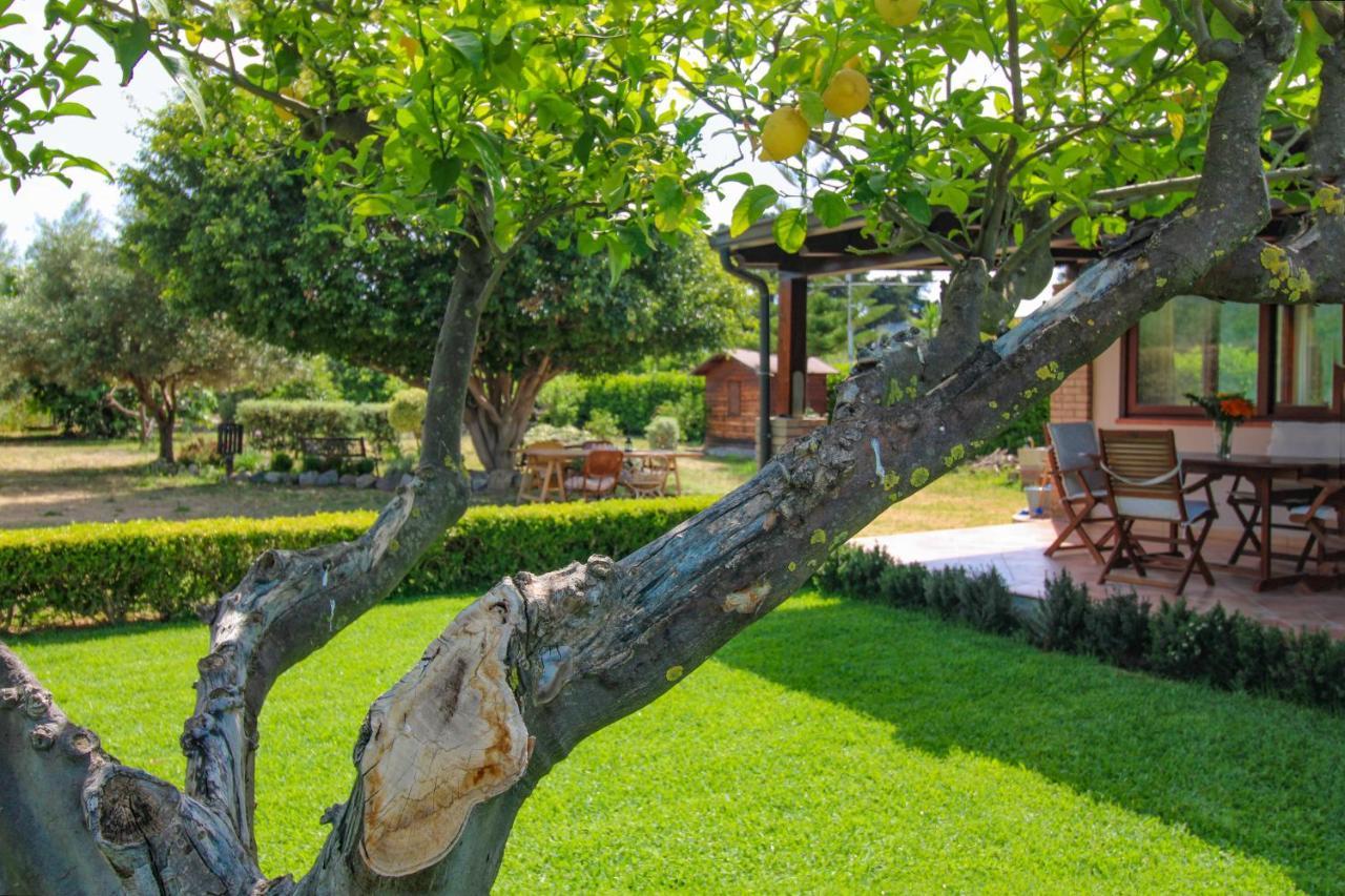 La Casa Di Lina - Capo D'Orlando, Casa Con Ampio Giardino别墅 外观 照片